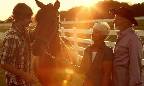 Mein treues Pferd "Bär" - Film (2015)