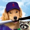 Air Bud 4 - Mit Baseball bellt sich's besser - Film (2002)