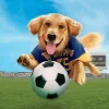 Air Bud 3 - Ein Hund für alle Bälle - Film Stream HD (2000)