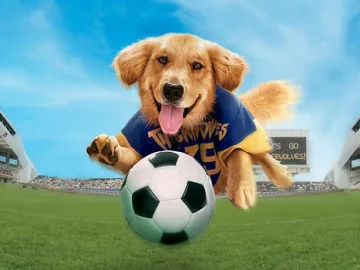 Air Bud 3 - Ein Hund für alle Bälle - Film Stream HD (2000)